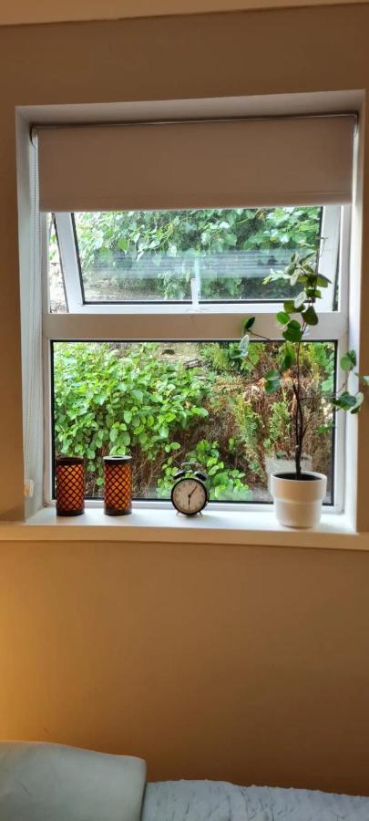 Blima Central Rooms Dublin Ngoại thất bức ảnh